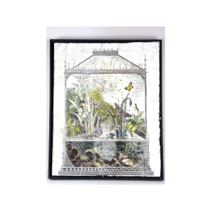 Butterfly Atrium